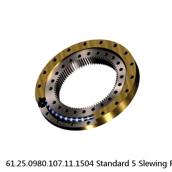 61.25.0980.107.11.1504 Standard 5 Slewing Ring Bearings #1 small image
