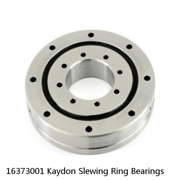16373001 Kaydon Slewing Ring Bearings #1 small image