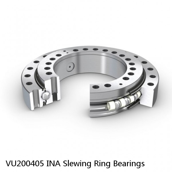 VU200405 INA Slewing Ring Bearings #1 small image