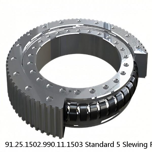 91.25.1502.990.11.1503 Standard 5 Slewing Ring Bearings