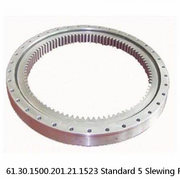 61.30.1500.201.21.1523 Standard 5 Slewing Ring Bearings #1 small image