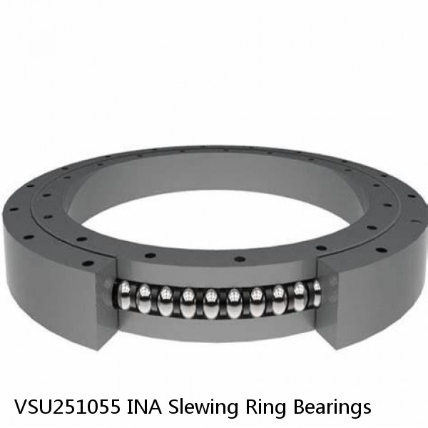 VSU251055 INA Slewing Ring Bearings #1 image