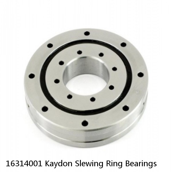 16314001 Kaydon Slewing Ring Bearings #1 image