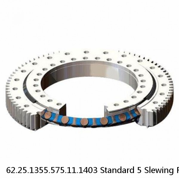 62.25.1355.575.11.1403 Standard 5 Slewing Ring Bearings #1 image