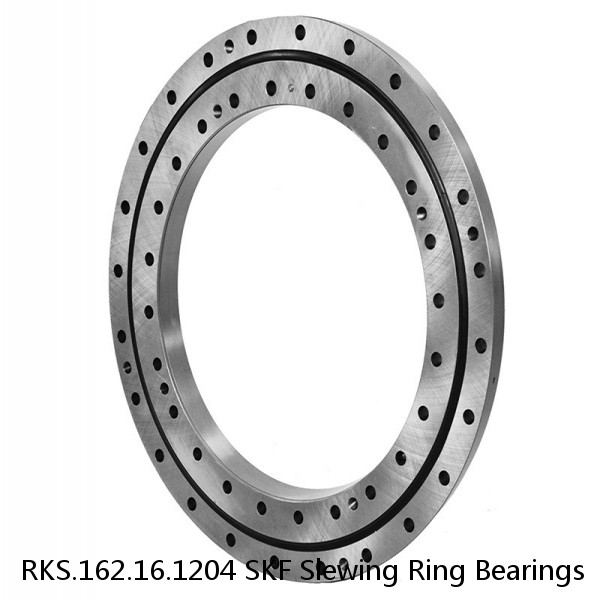 RKS.162.16.1204 SKF Slewing Ring Bearings #1 image