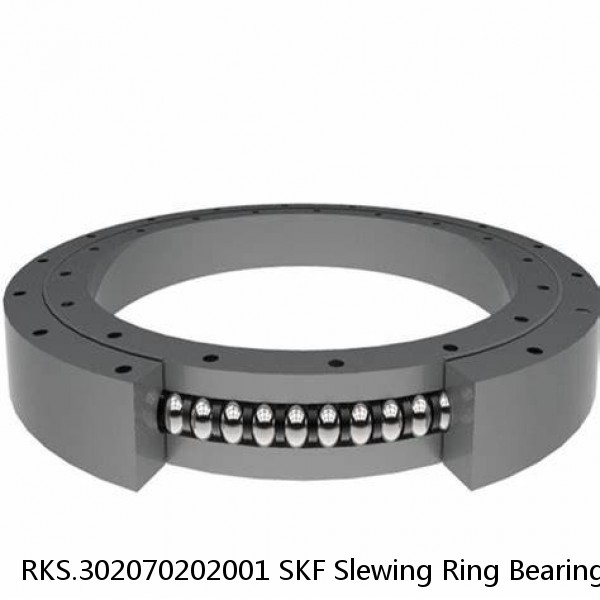 RKS.302070202001 SKF Slewing Ring Bearings #1 image