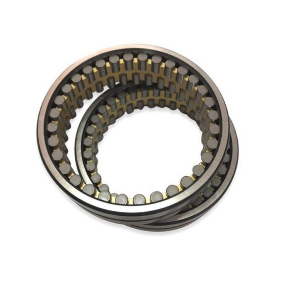 AMI BR5  Insert Bearings Cylindrical OD #1 image