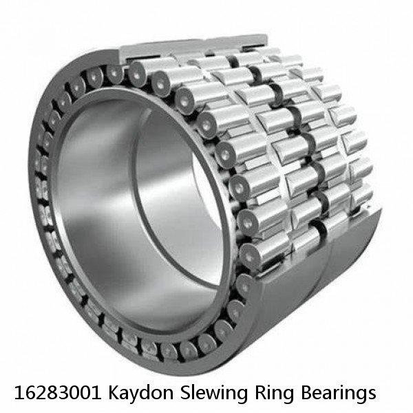 16283001 Kaydon Slewing Ring Bearings #1 image