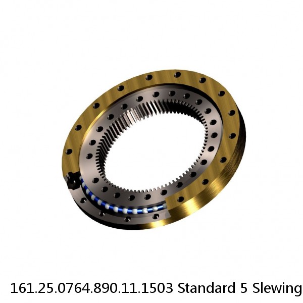 161.25.0764.890.11.1503 Standard 5 Slewing Ring Bearings #1 image