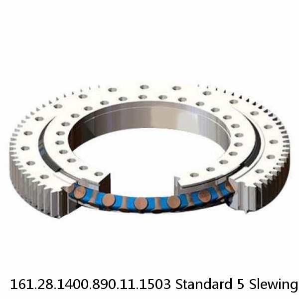 161.28.1400.890.11.1503 Standard 5 Slewing Ring Bearings #1 image